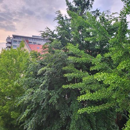 Privatzimmer An Der Uniklinik Mainz Exterior foto